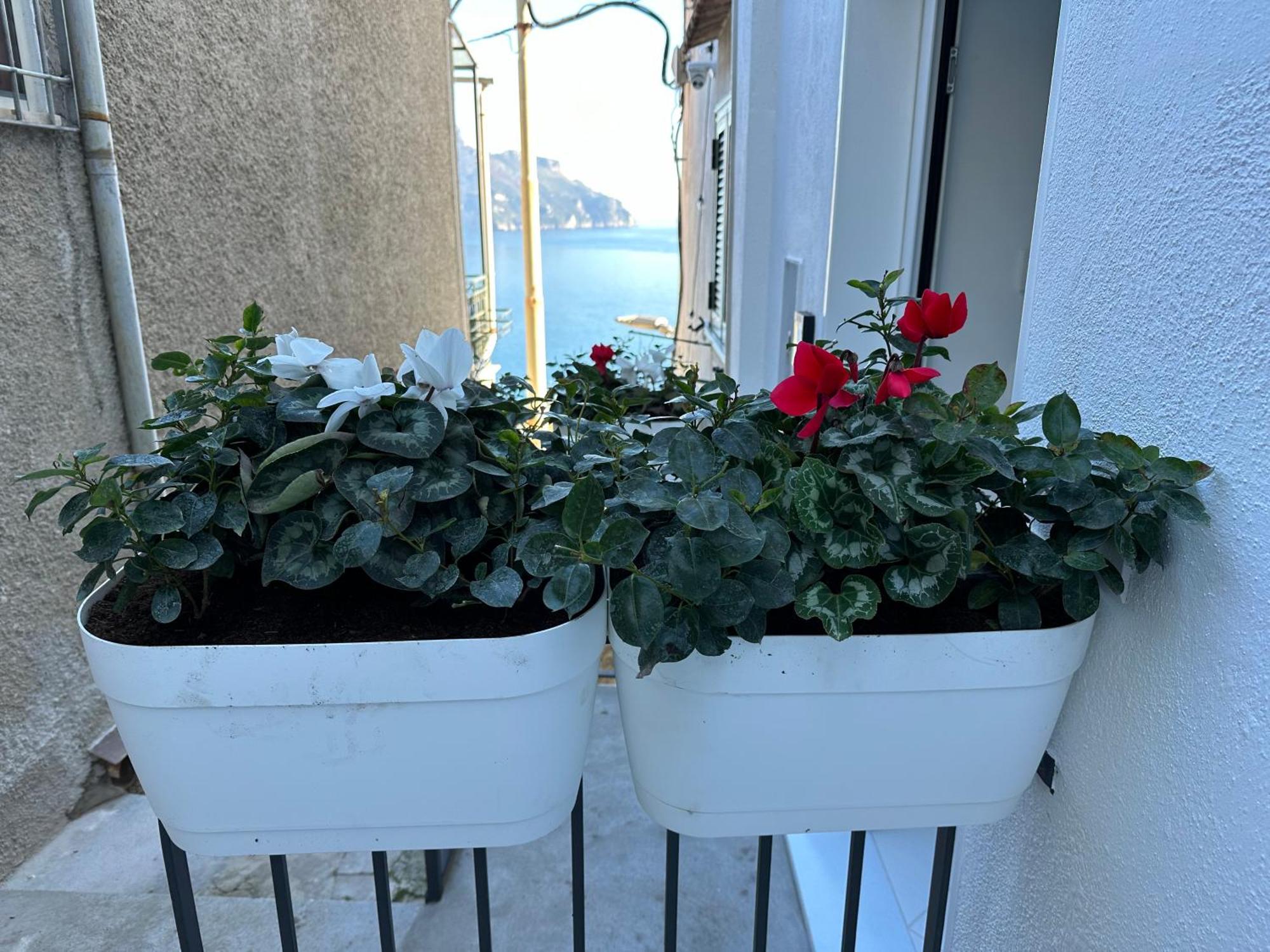 Ravello Suite Dış mekan fotoğraf